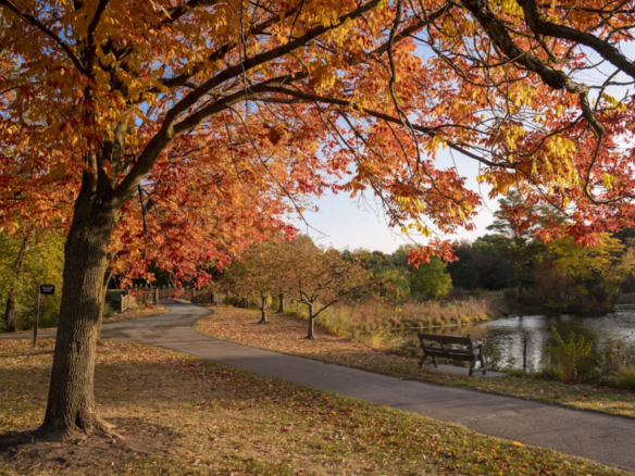 The Top Attractions in Scotch Plains, NJ, For Locals or Tourists