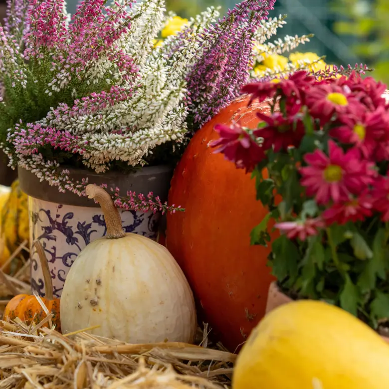 Fall in Union County, NJ: Apple Picking, Hayrides, Halloween Fun & More